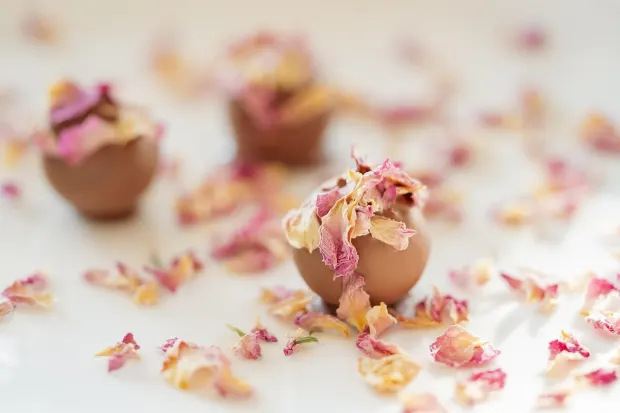 Pedalada10 Cazino Cazinou Aplicație Android/iOS